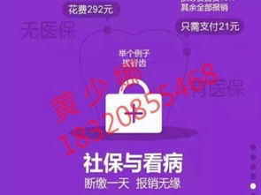 深圳社保代缴与学历教育咨询服务指南